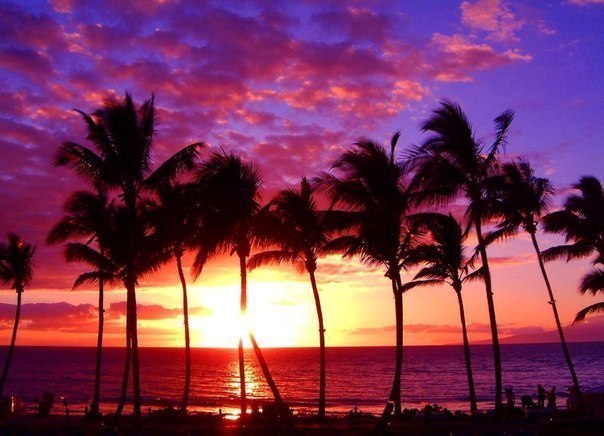 Не бойся отправляться в путь, бойся оставаться на месте.