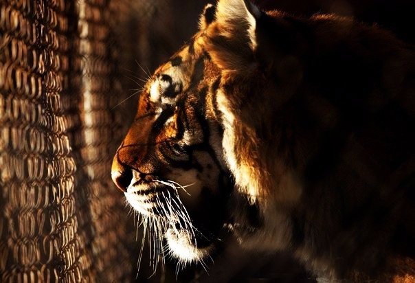 Выход из безвыходного положения там же, где вход.