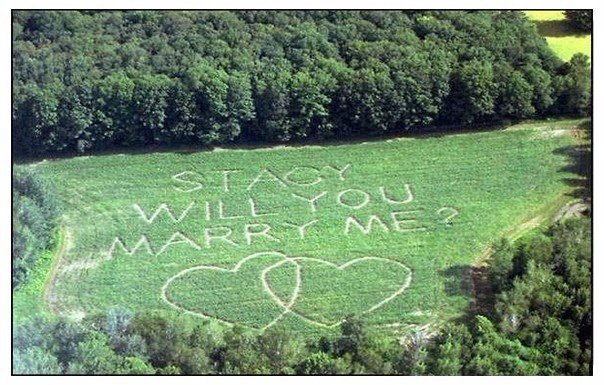 Самая большая человеческая глупость – боязнь. Боязнь совершить поступок, поговорить, признаться. Мы всегда боимся, и поэтому так часто проигрываем.