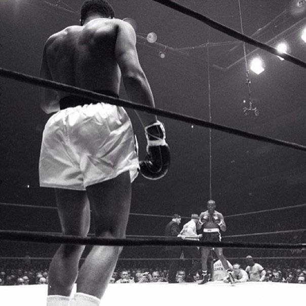 .Даже когда нет никаких шансов, сохраняй невозмутимость и борись.