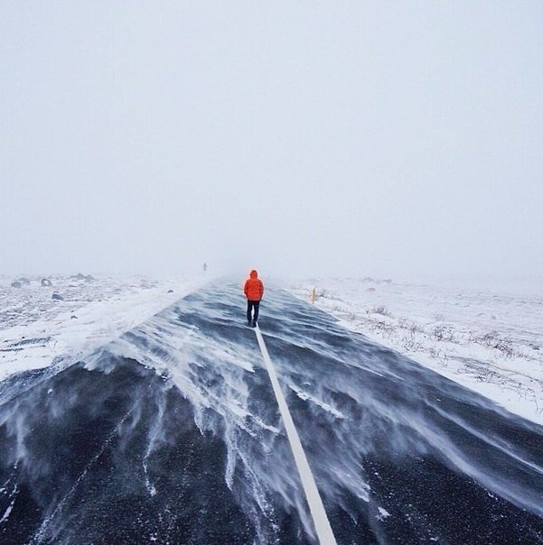 Борись до конца! 