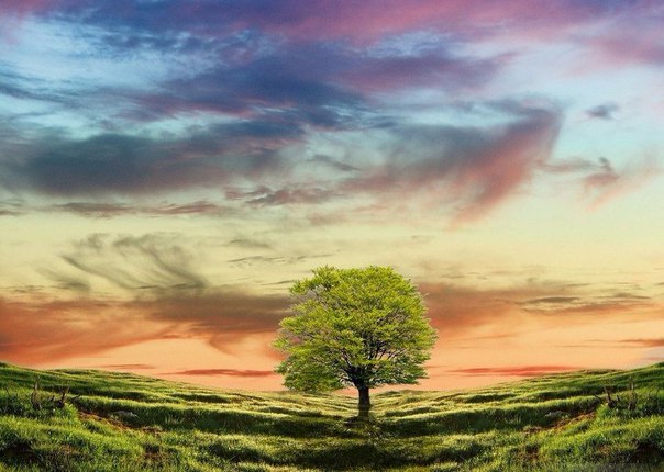 Самое тихое и безмятежное место, куда человек может удалиться, — это его Душа… Почаще же разрешай себе такое уединение и черпай в нём новые Силы.