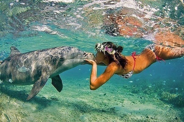 Если мы сами придумываем себе проблемы, значит мы сами можем придумать себе счастье.