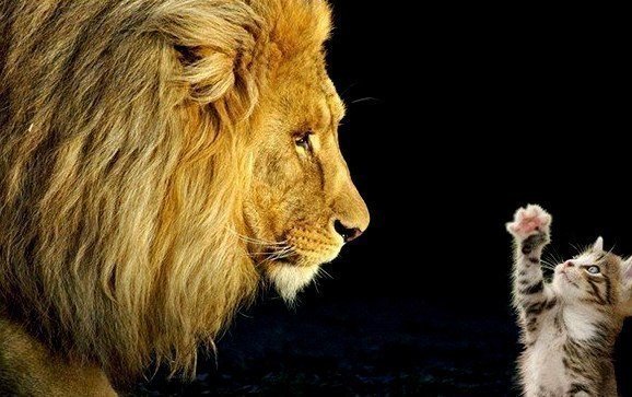 Обязательно дружите с теми, кто лучше вас. Будете мучиться, но расти.