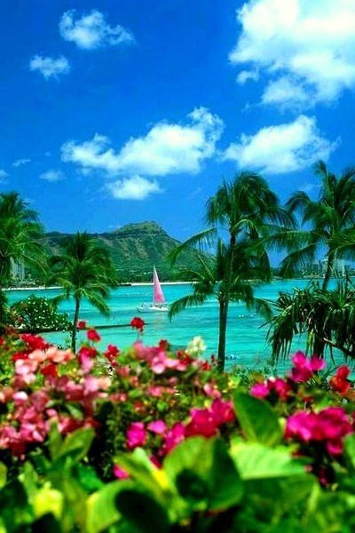 У человека две жизни, и вторая начинается тогда, когда мы понимаем, что жизнь всего одна. (Том Хиддлстон)