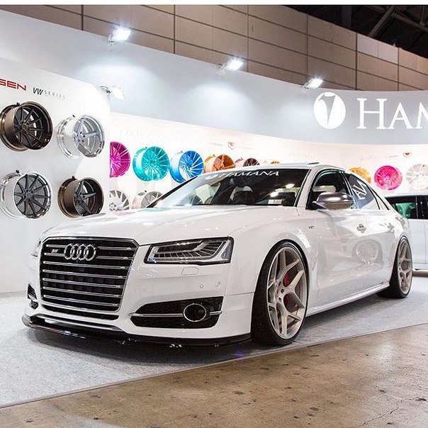 Как бы ты высоко не летал, не забывай, с кем ты ползал.