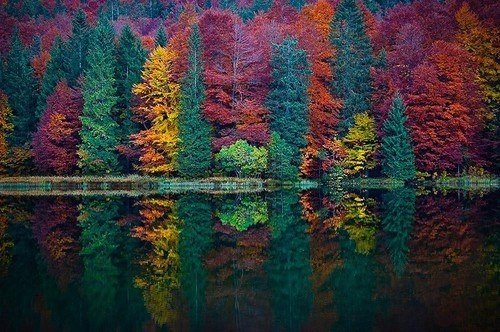 Когда человек одинок, он начинает присматриваться к природе и любить её.