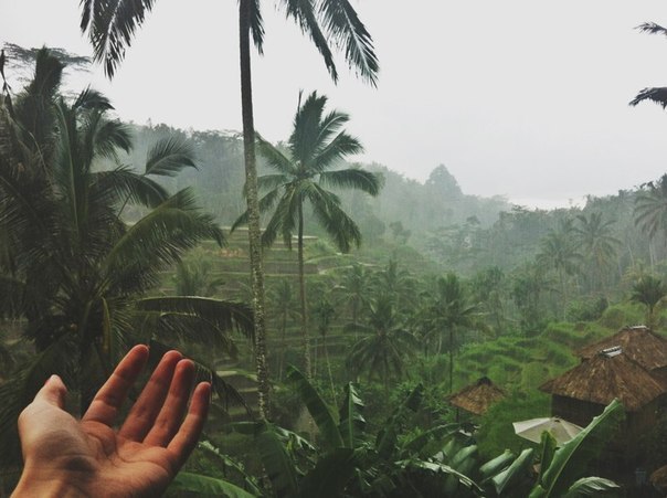 Передаю огромный привет своей мечте. Если ты думаешь, что я просто так сдамся, то ты ошибаешься...