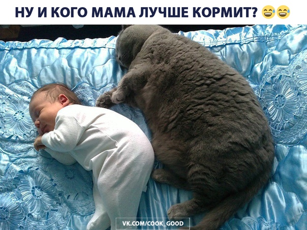Спокойной ночи, друзья 