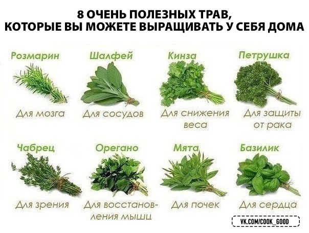 Сохраняйте к себе, чтобы не потерять