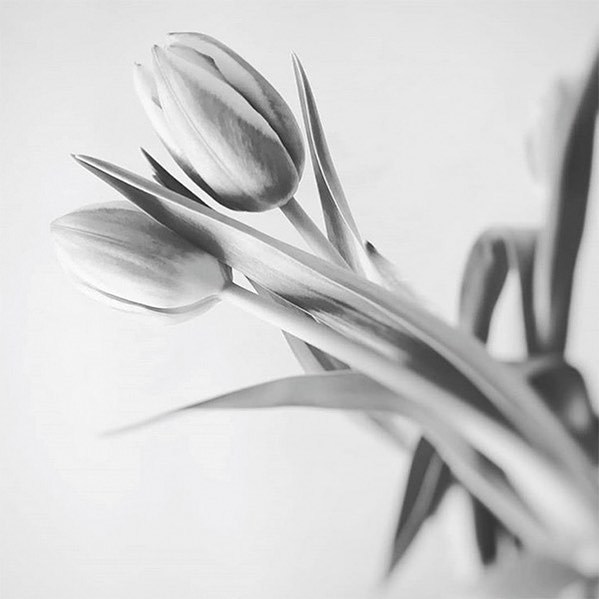 #Фотограф Carmelita Iezzi