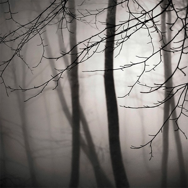 #Фотограф Ilias Varelas