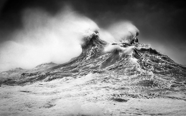 #Фотограф Rachael Talibart