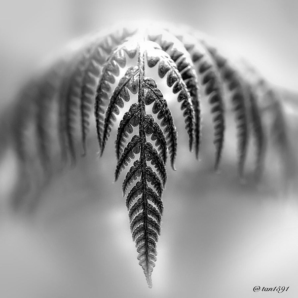 #Фотограф Poolsak