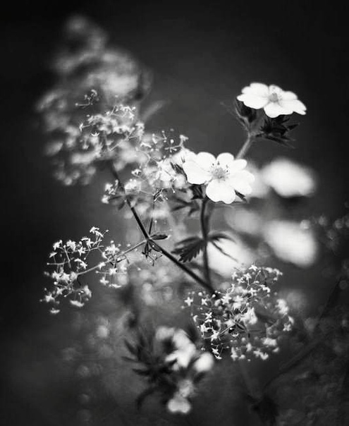 #Фотограф Catherine L.