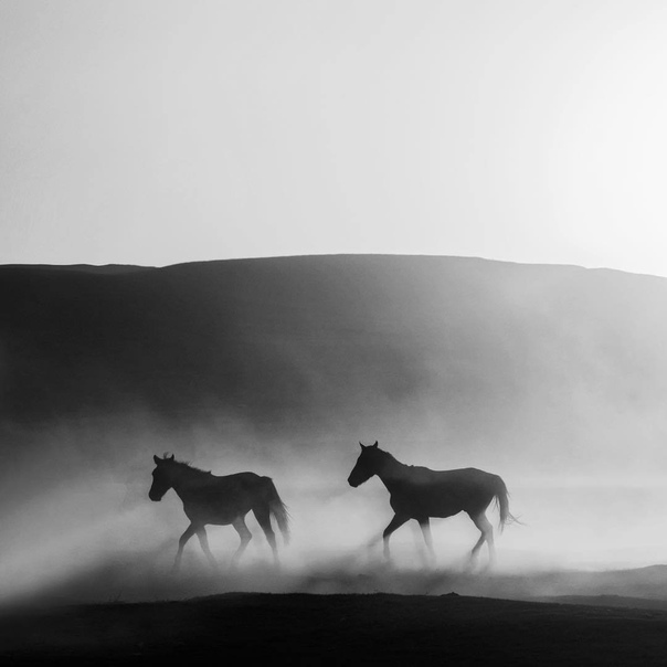 #Фотограф Hseyin Takn