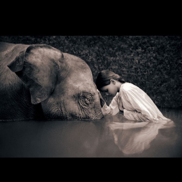 #Фотограф Gregory Colbert