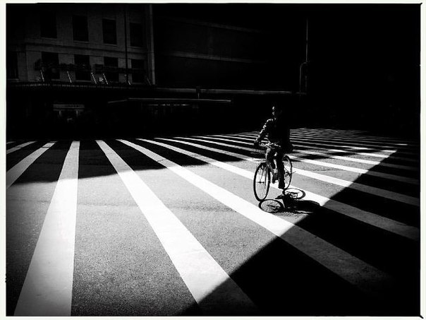 #Фотограф Mark Fearnley