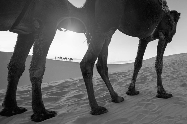 #Фотограф Hakki Ceylan