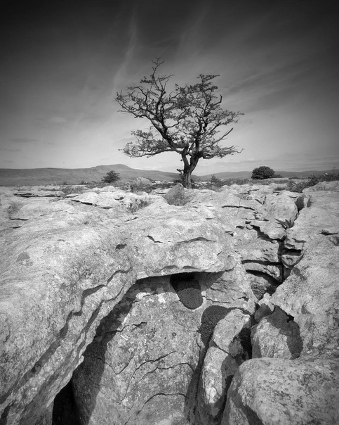 #Фотограф Noel Bodle