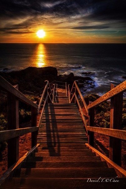 Для первого шага достаточно веры. Не обязательно видеть всю лестницу, чтобы сделать первый шаг.