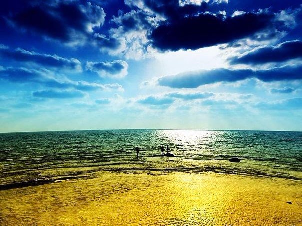 Мечты — это прекрасно, но только если вы что-то предпринимаете ради них. Мечтать на диване — это как рыбачить в унитазе.