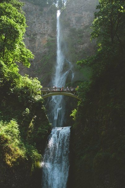 Обязательно настанет время, когда все будет по-нашему. Когда Судьба отойдет в сторону и скажет: 