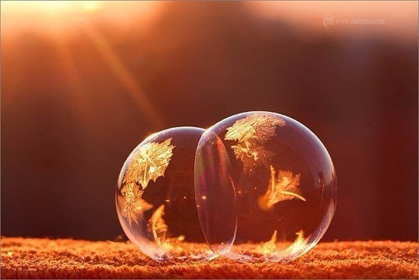 Никогда не теряйте надежды и веры в лучшее, потому что после самой черной ночи всегда приходит светлый день, и даже после самого сильного ливня ярко светит солнце.