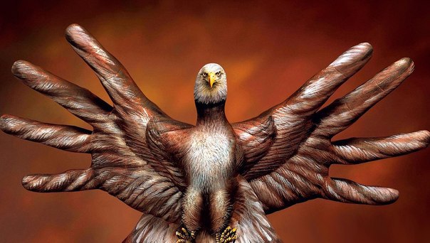 С высоты орлиного полета,