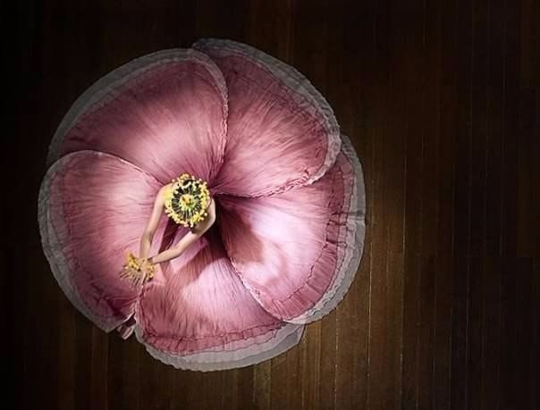 Женщина — это цветок. А мужчина — садовник. Садовник ухаживает и растит цветок. Цветок в свою очередь благодарит его, даря ему свою нежность и красоту. У самого заботливого садовника самый прекрасный цветок.