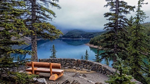 Вместо тысячи психологов