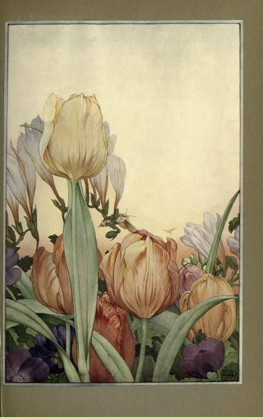 News of Spring and Other Nature Studies 