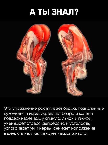 Простое задание  с максимальной пользой. 
