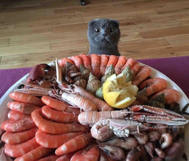 Ох, эти голодные глаза...