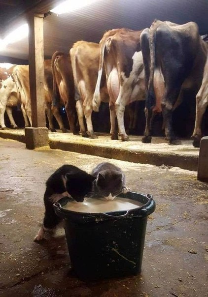 Производители и потребители