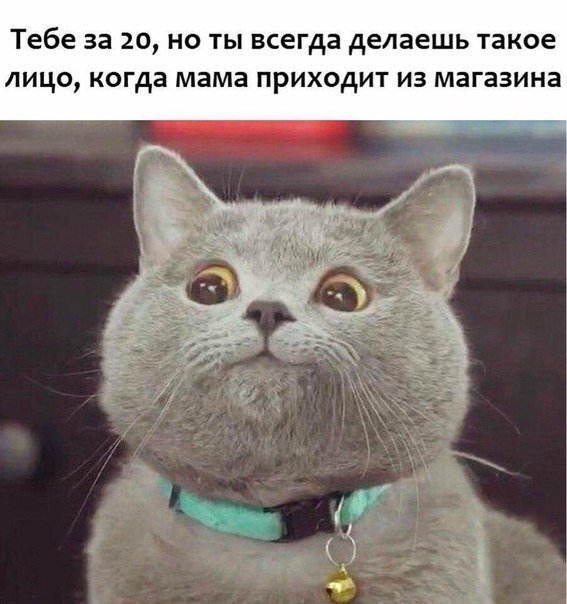 Точно 