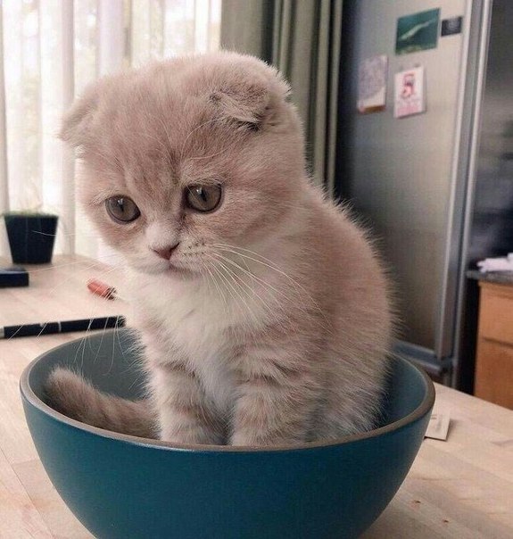 Оставь меня, работа, я в печали... Приди ко мне, зарплата, я скучаю!