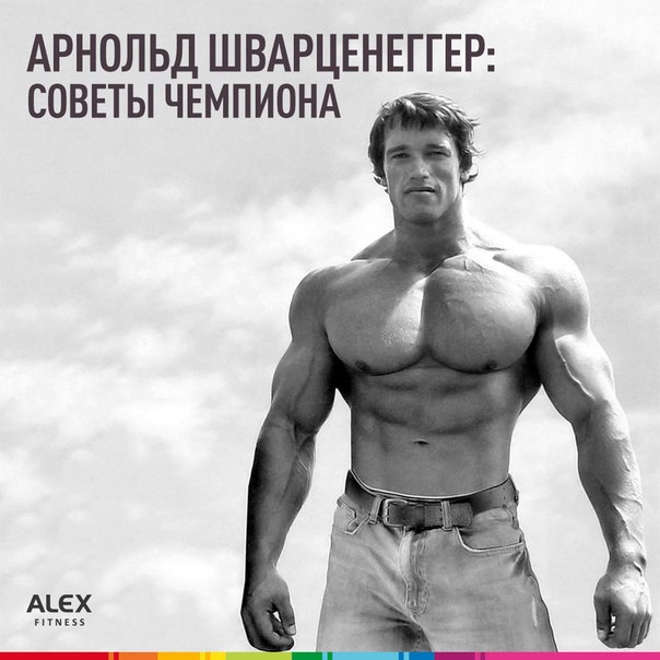 Если тебе не хватает мотивации для регулярных тренировок, то держи отличную книгу, написанную самим Арнольдом Шварценеггером! Автобиография 