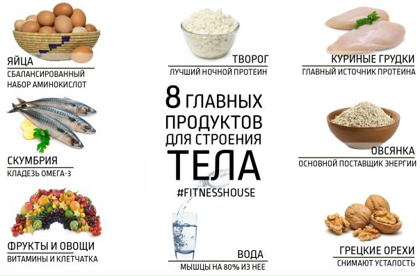  8 продуктов для строения тела 