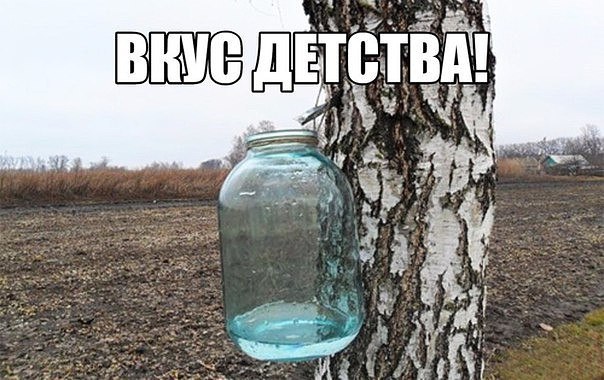 В детстве у меня было всё!