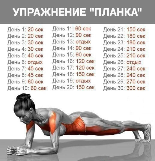 Планка - настоящее спасение для тех, у кого мало времени на занятия спортом Выполнение упражнения займет от 30 сек до 5 минут. 