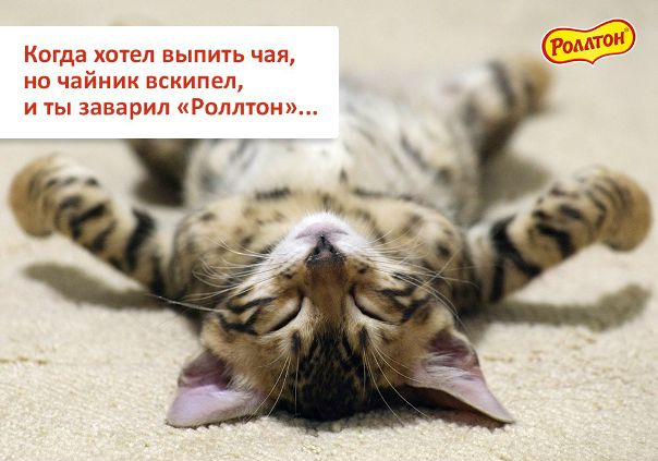 Продукты «Роллтон» такие вкусные и сделаны с такой любовью, что устоять невозможно. Впрочем, остановиться тоже  