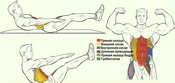 Хотите красивый и накачанный пресс всего за 3 недели