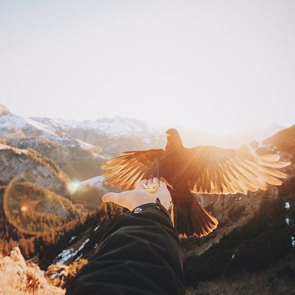 Приучай себя к тому, чтобы у тебя были только хорошие мысли.