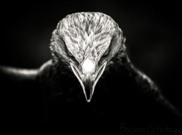 Все устают. Даже самые сильные. Только они в отличие от остальных продолжают идти к цели, молча, стиснув зубы.