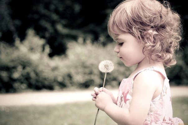 Ветер жизни иногда свиреп.