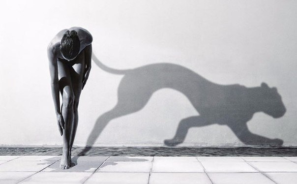 Не полагайтесь слишком сильно на кого нибудь в этом мире, потому что даже ваша собственная тень покидает вас, когда вы в темноте.