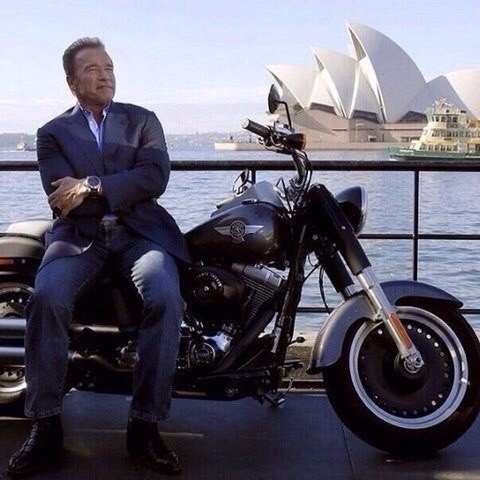 Ничего в этой жизни не дается легко. Чтобы достичь своих целей необходимо идти на определённые жертвы — тратить свои силы, время, ограничивать себя в чем-либо.