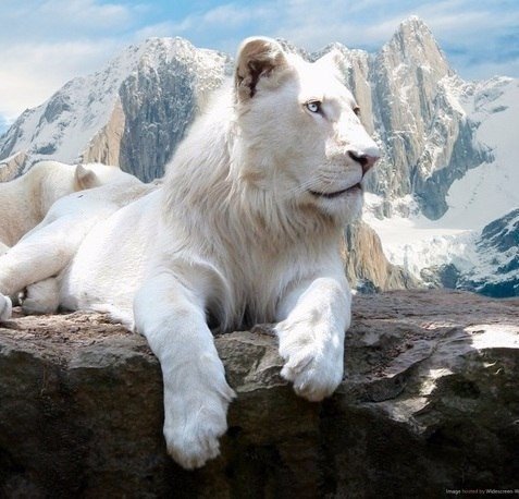 Будь спокойным и уверенным в себе!