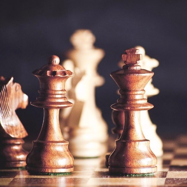 Единственный способ стать умнее — играть с более умным противником. 